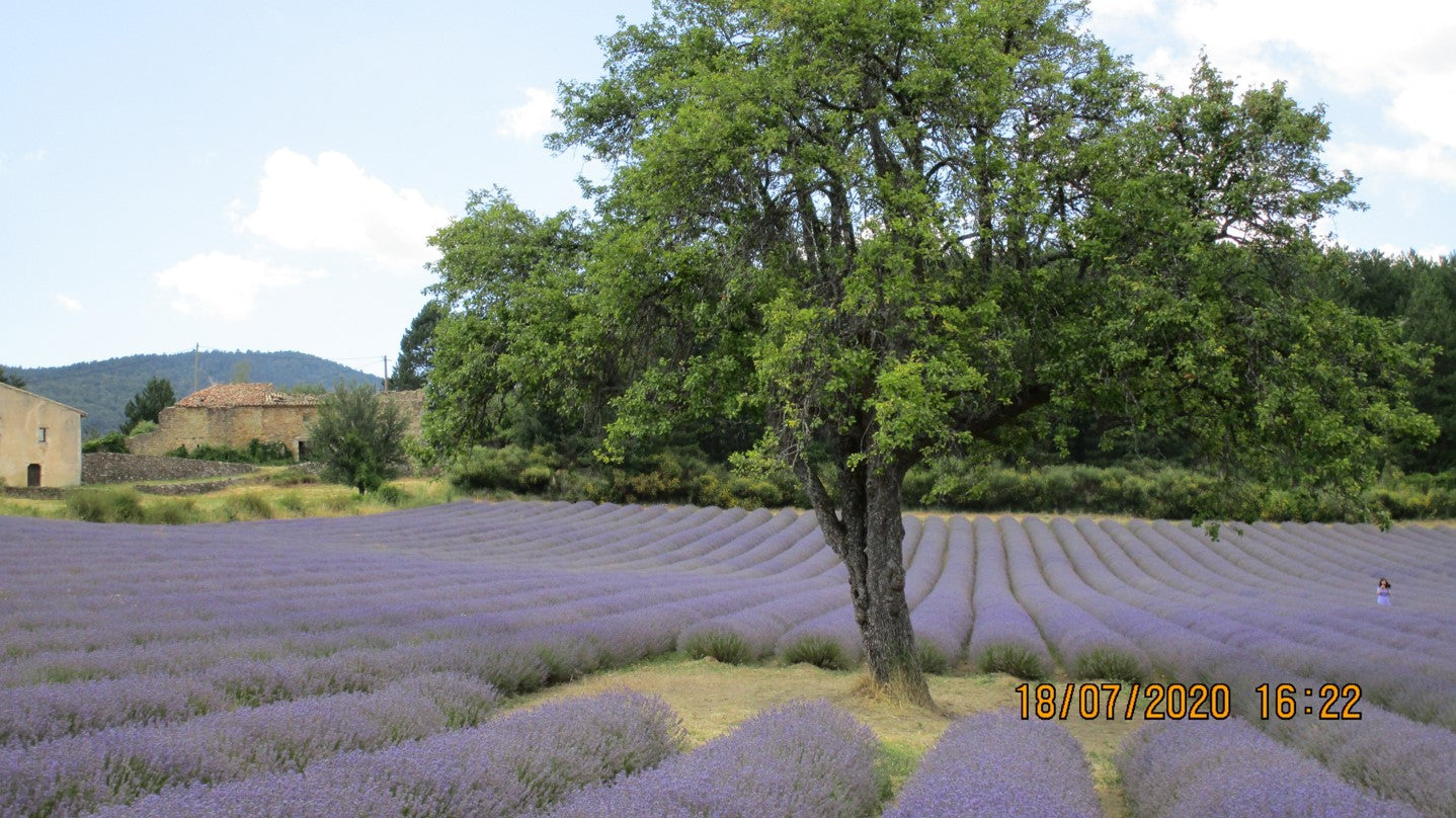 motorradtour schweiz